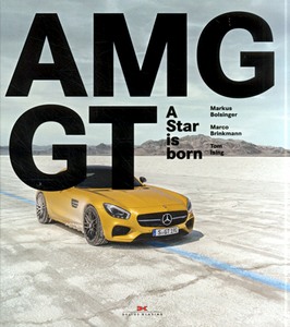 Mercedes-AMG GT - A Star is Born