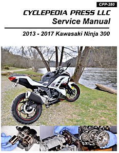 2013-2017 Kawasaki Ninja EX 300