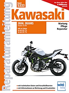 Kawasaki Z650, Z650RS - 649 cm³ (ab Baujahr 2016)